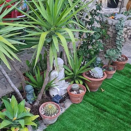 Site Paradis Rue Colibri Avignon