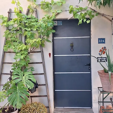 Site Paradis Rue Colibri