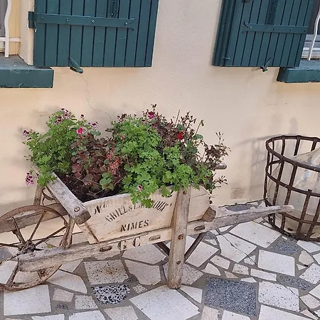 Apartment Site Paradis Rue Colibri Avignon